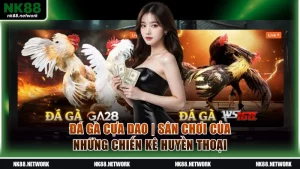 Đá gà cựa dao