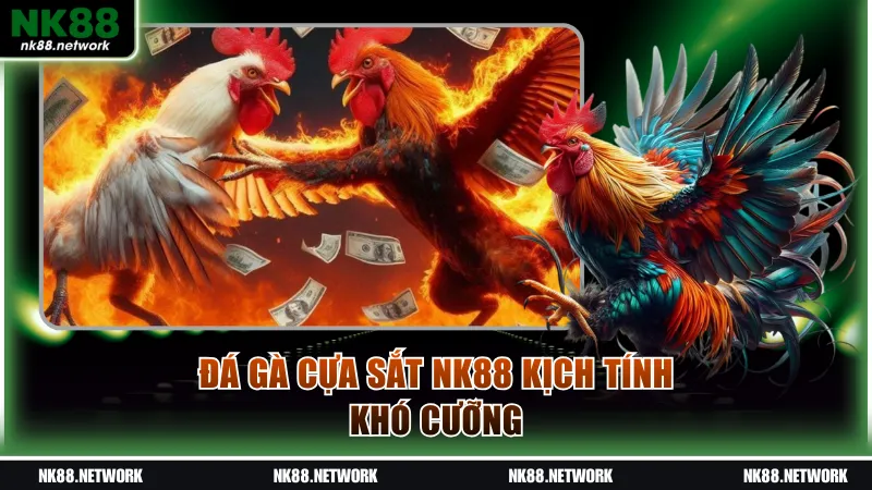 Đá gà cựa sắt NK88 kịch tính khó cưỡng