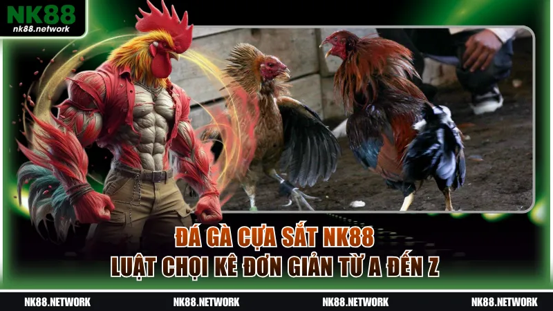 Đá gà cựa sắt