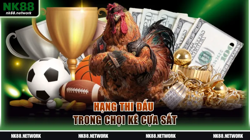 Hạng thi đấu trong chọi kê cựa sắt