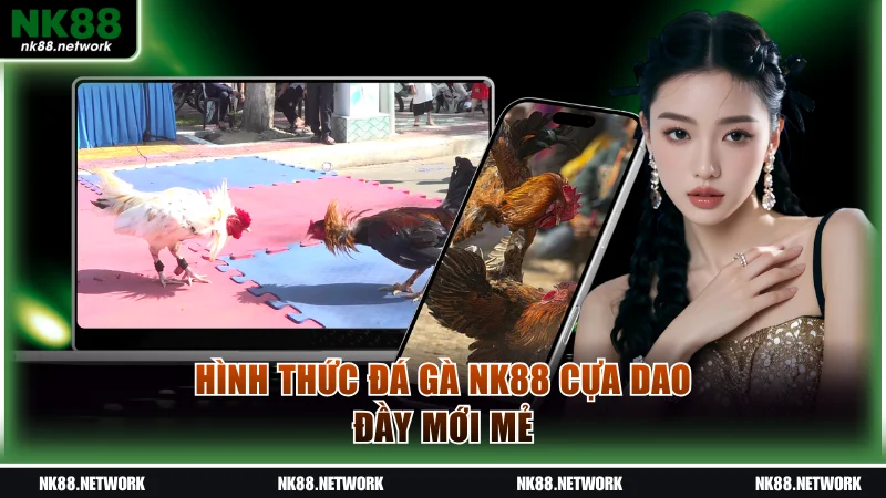Hình thức đá gà NK88 cựa dao mới mẻ